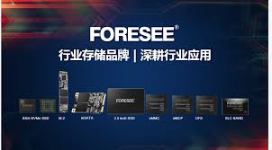 江波龍擬購買SMART Brazil及其子公司81%股權(quán)縮略圖